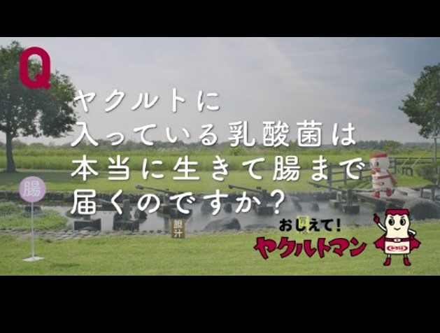 ヤクルトに入っている乳酸菌は本当に生きて腸まで届くの